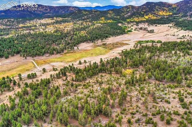 drone / aerial view with a mountain view