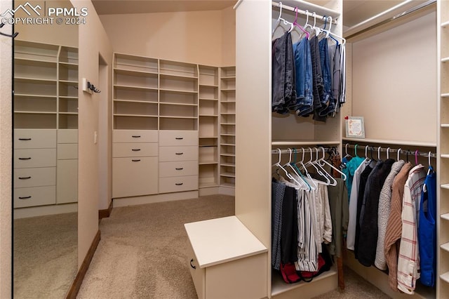 walk in closet featuring carpet floors