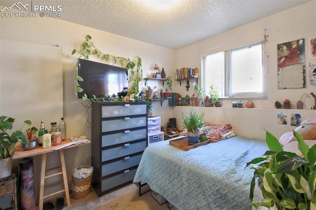 carpeted bedroom featuring a textured ceiling