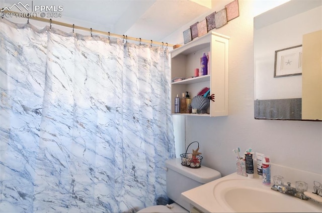 bathroom featuring vanity, toilet, and a shower with shower curtain