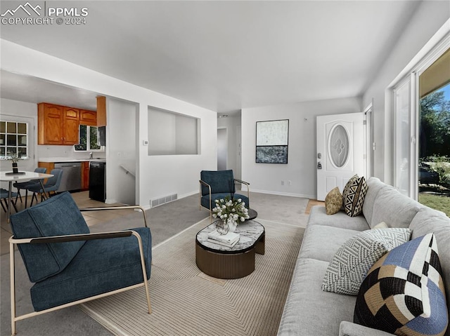 carpeted living room with a wealth of natural light