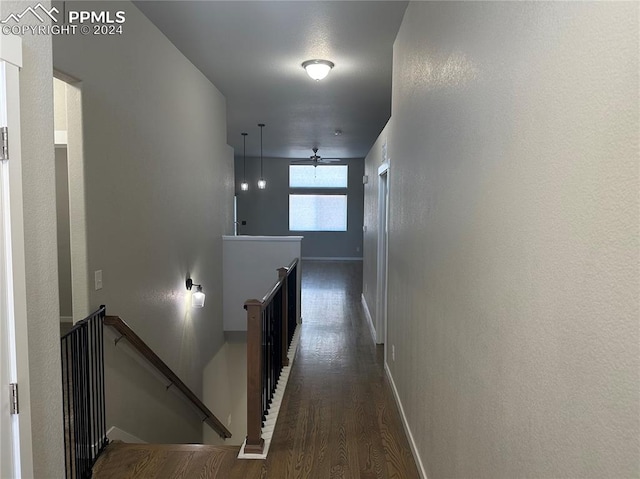 hall featuring dark hardwood / wood-style flooring