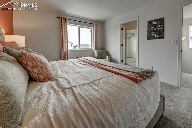 bedroom featuring carpet flooring and a spacious closet