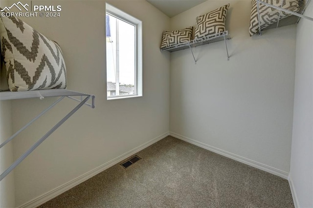 walk in closet with carpet