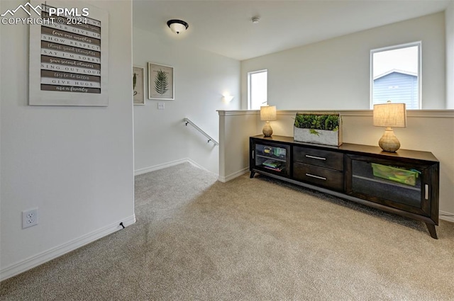 sitting room with light carpet and plenty of natural light