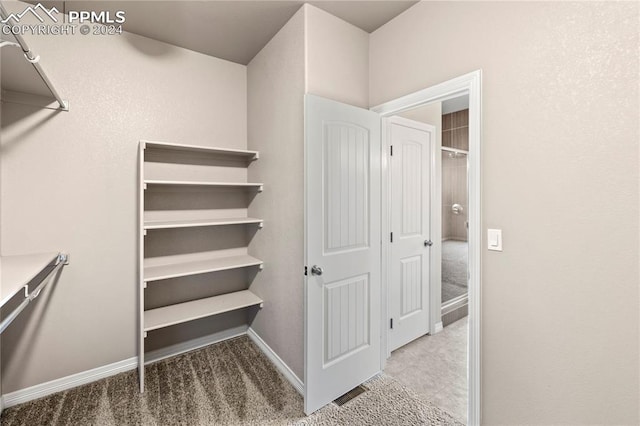 spacious closet featuring light carpet