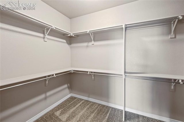 spacious closet with carpet floors