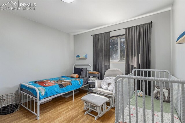 bedroom with hardwood / wood-style floors