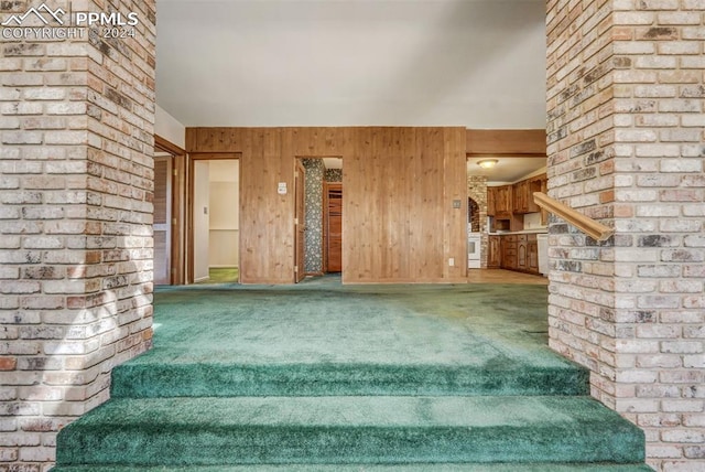 stairway featuring wood walls and carpet floors