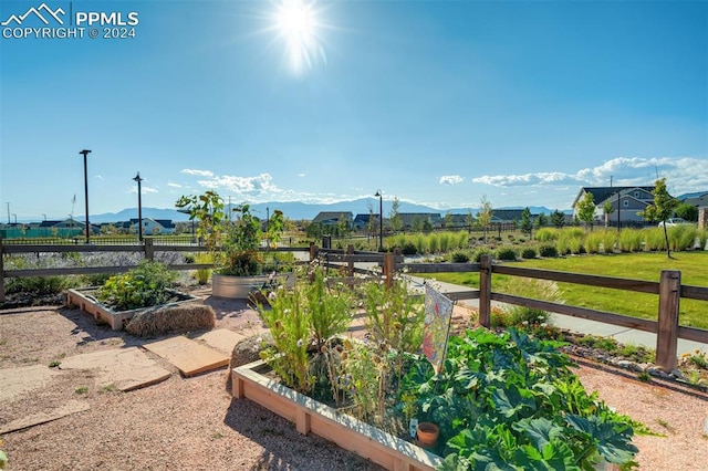 view of yard with a mountain view