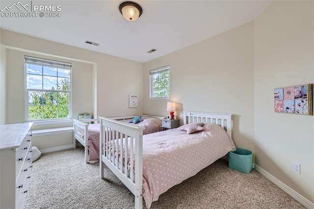 bedroom featuring multiple windows and carpet flooring