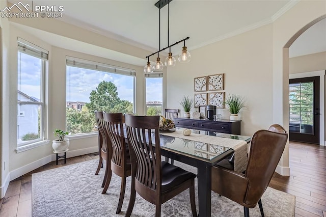 dining area featuring ornamental molding, hardwood / wood-style flooring, and a wealth of natural light