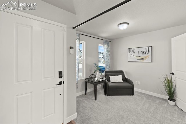 sitting room featuring light colored carpet