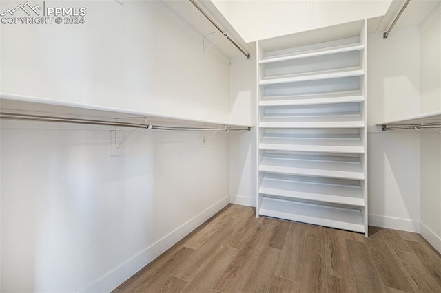 walk in closet featuring radiator and hardwood / wood-style flooring