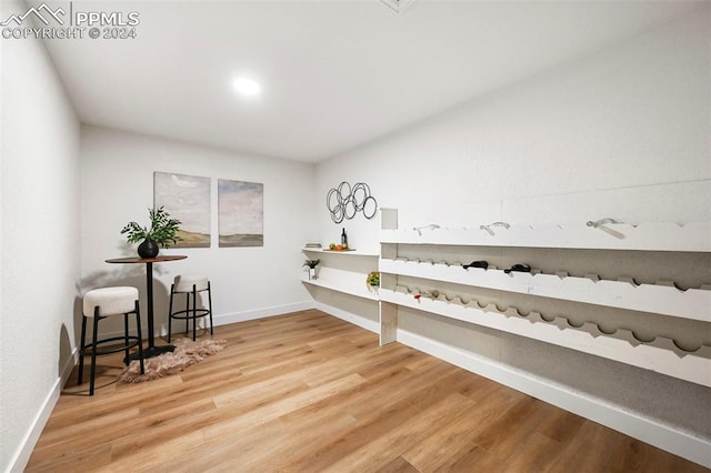 wine room featuring hardwood / wood-style flooring