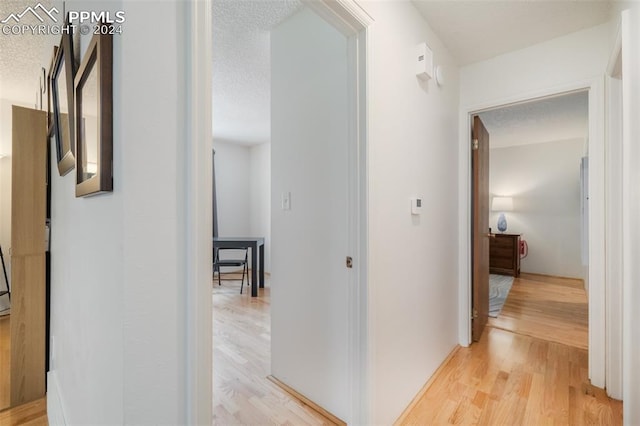 corridor featuring a textured ceiling and light hardwood / wood-style floors