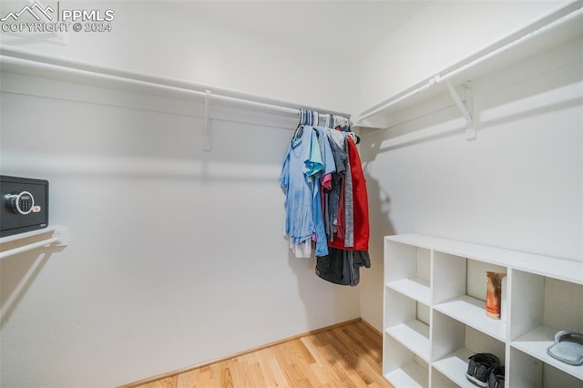 walk in closet with wood-type flooring