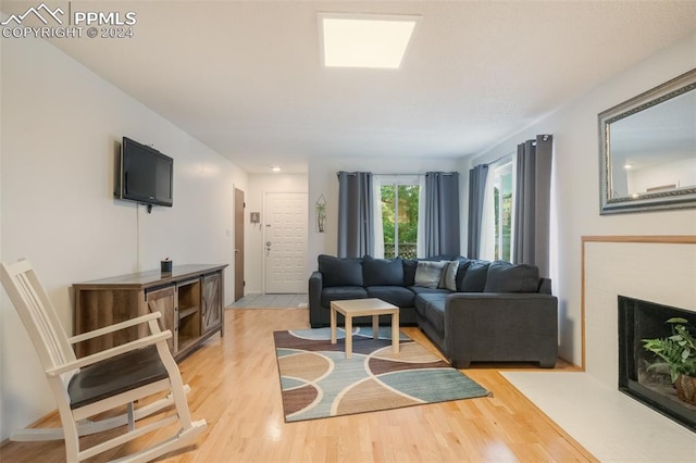 living room with wood-type flooring