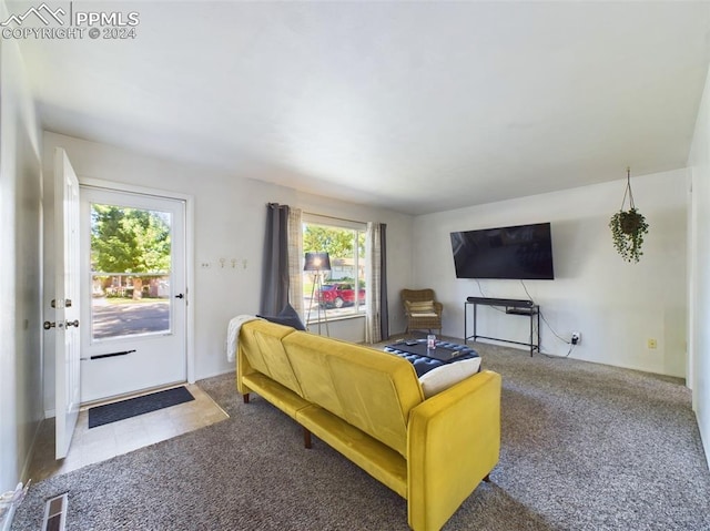 carpeted living room with a healthy amount of sunlight