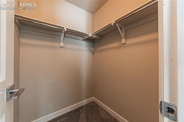 walk in closet with carpet flooring