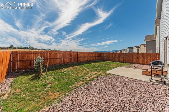 view of yard featuring a patio area