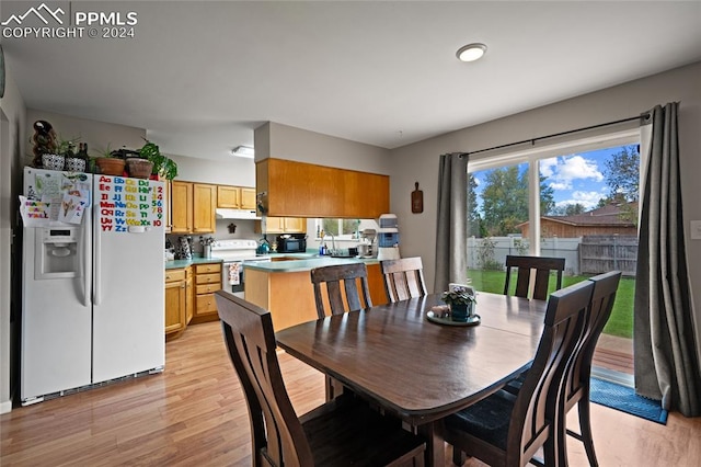 dining room with light hardwood / wood-style floors