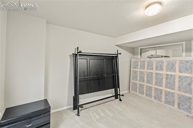 interior space featuring carpet floors and a textured ceiling