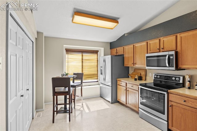 kitchen with lofted ceiling and stainless steel appliances