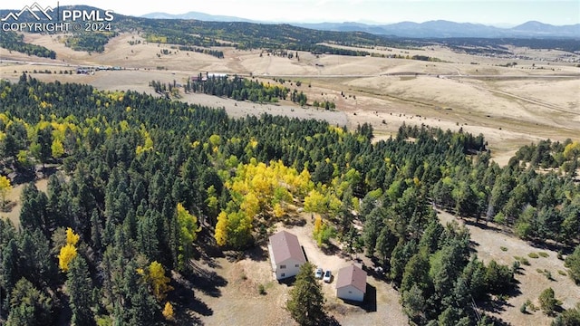 birds eye view of property with a mountain view