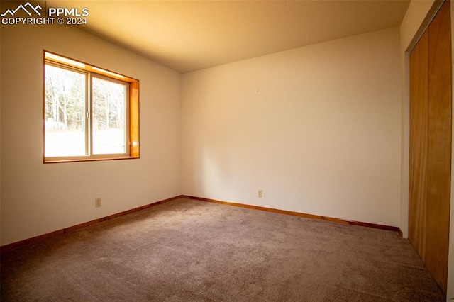 unfurnished room with carpet flooring