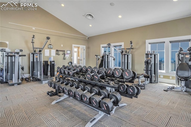 workout area featuring high vaulted ceiling and a wealth of natural light