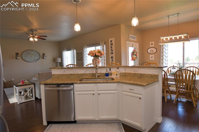 kitchen featuring pendant lighting, plenty of natural light, sink, and stainless steel dishwasher