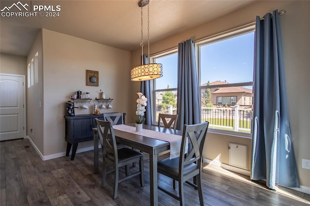 dining area featuring dark wood-type flooring