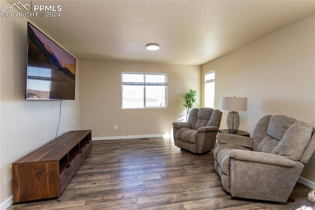 living room with dark hardwood / wood-style flooring