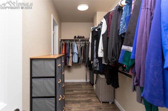 walk in closet with dark wood-type flooring