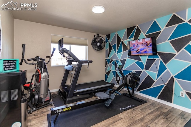 exercise area with wood-type flooring