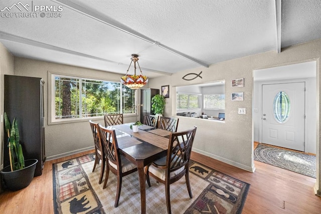 dining area featuring a wealth of natural light, a textured ceiling, and hardwood / wood-style floors