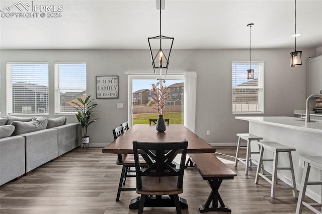 dining room featuring dark hardwood / wood-style floors, a healthy amount of sunlight, and sink