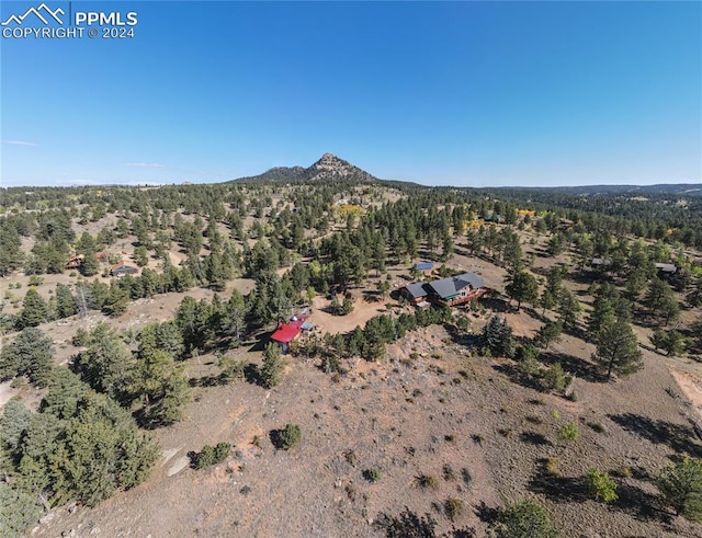 birds eye view of property featuring a mountain view