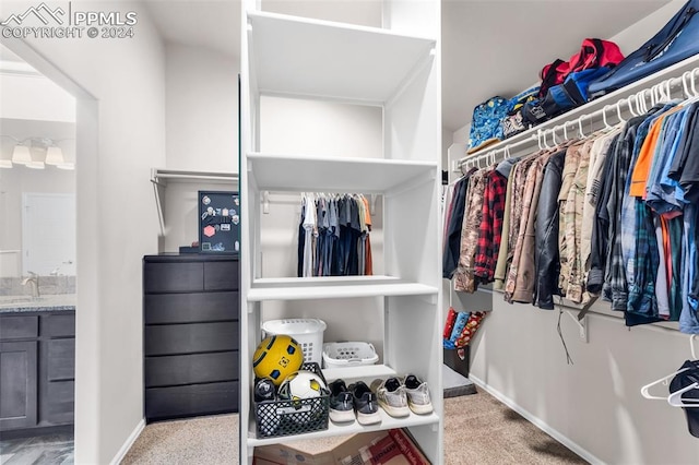 spacious closet with sink and light carpet