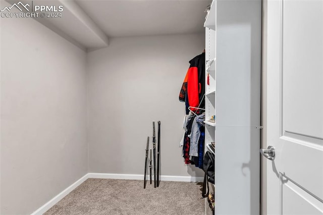 walk in closet with light carpet