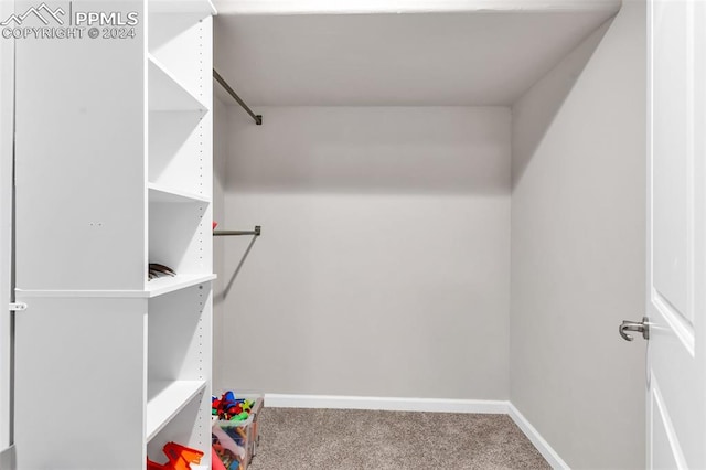 walk in closet featuring carpet flooring