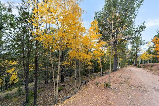 Listing photo 2 for N/A May Queen Dr, Cripple Creek CO 80813