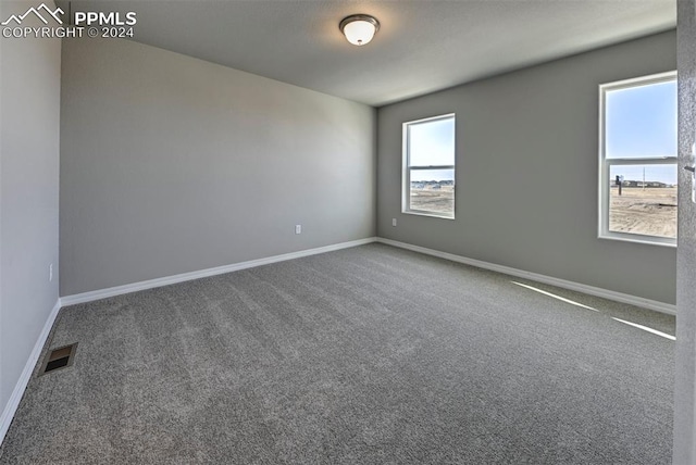 unfurnished room with carpet flooring