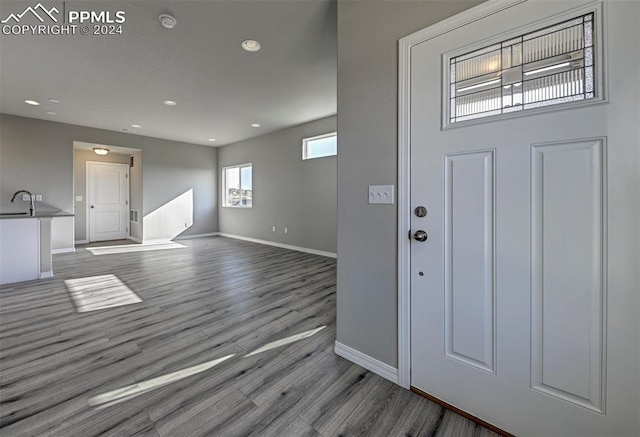 foyer with sink and light hardwood / wood-style floors