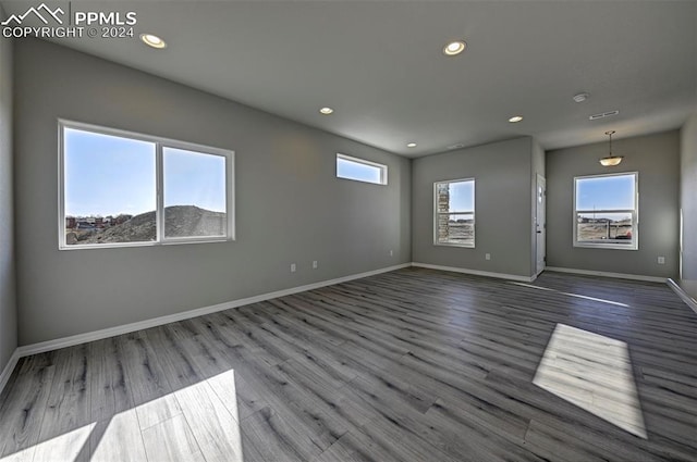 empty room with wood-type flooring