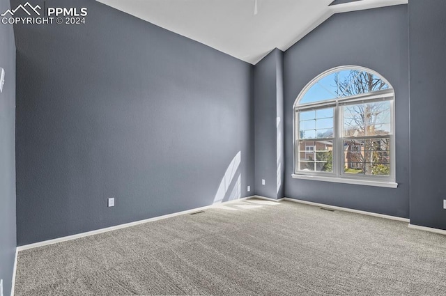 empty room featuring lofted ceiling and carpet floors