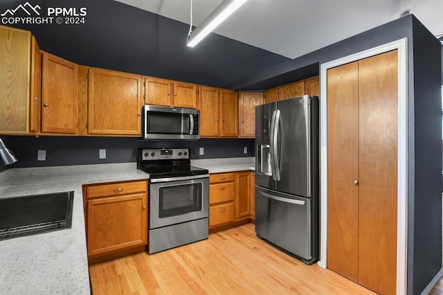 kitchen featuring sink, appliances with stainless steel finishes, and light hardwood / wood-style floors