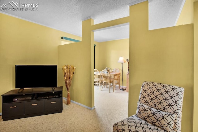 living area with light carpet and a textured ceiling