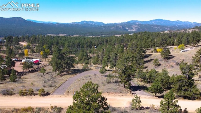 187 Circle Dr, Florissant CO, 80816 land for sale